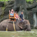 bali activity with bali exclutour