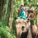 bali activity with bali exclutour