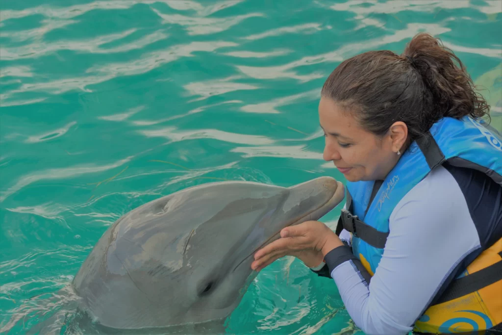 bali exclutour, bali dolphin program conservation and education